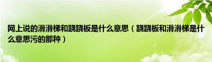 网上说的滑滑梯和跷跷板是什么意思(跷跷板和滑滑梯是什么意思污的那种)