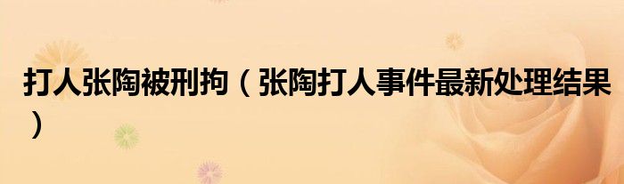 打人张陶被刑拘(张陶打人事件最新处理结果)