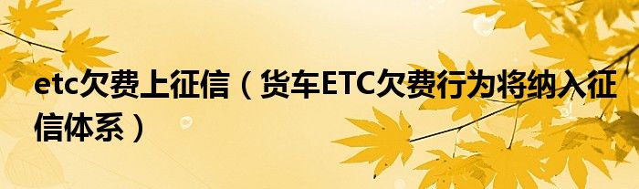 etc欠费上征信(货车ETC欠费行为将纳入征信体系)