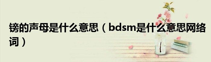 镑的声母是什么意思(bdsm是什么意思网络词)