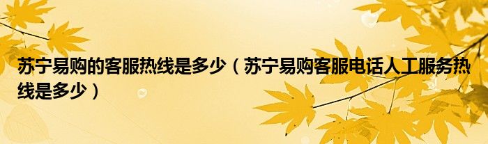 苏宁易购的客服热线是多少(苏宁易购客服电话人工服务热线是多少)