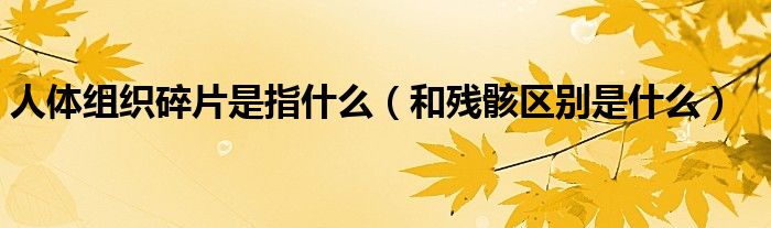 人体组织碎片是指什么(和残骸区别是什么)