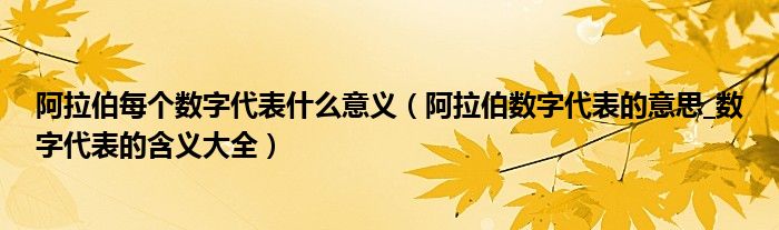 阿拉伯每个数字代表什么意义(阿拉伯数字代表的意思_数字代表的含义大全)