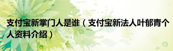 支付宝新掌门人是谁(支付宝新法人叶郁青个人资料介绍)