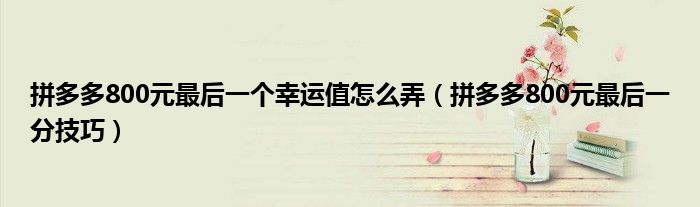 拼多多800元最后一个幸运值怎么弄(拼多多800元最后一分技巧)