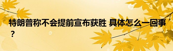 特朗普称不会提前宣布获胜 具体怎么一回事?