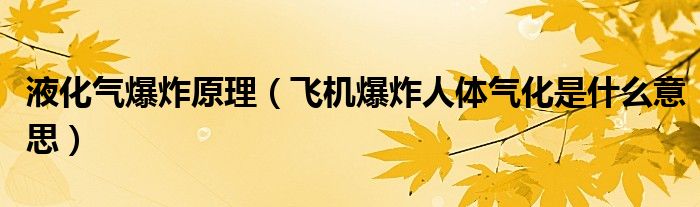 液化气爆炸原理(飞机爆炸人体气化是什么意思)