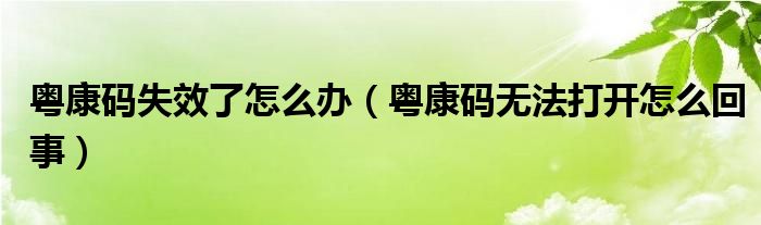 粤康码失效了怎么办(粤康码无法打开怎么回事)