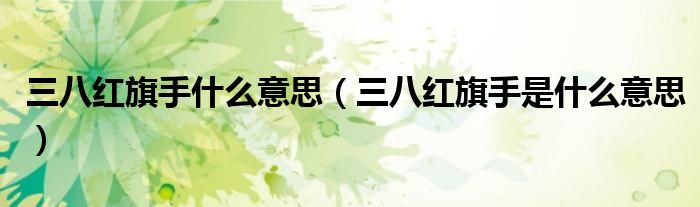 三八红旗手什么意思(三八红旗手是什么意思)