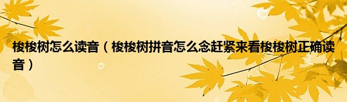 梭梭树怎么读音(梭梭树拼音怎么念赶紧来看梭梭树正确读音)