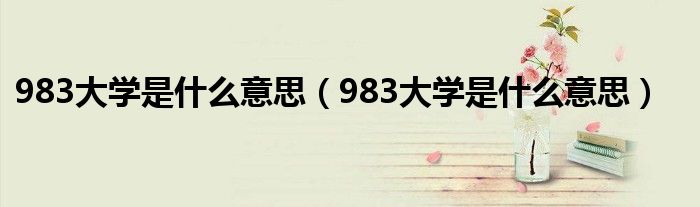 983大学是什么意思(983大学是什么意思)
