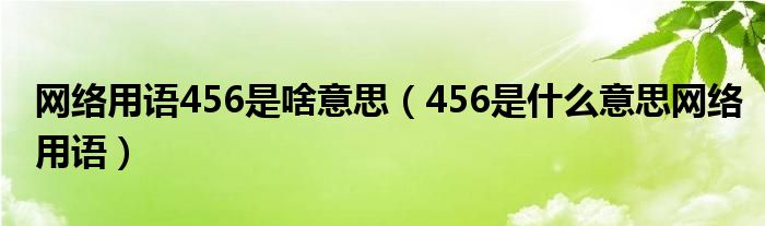 网络用语456是啥意思(456是什么意思网络用语)