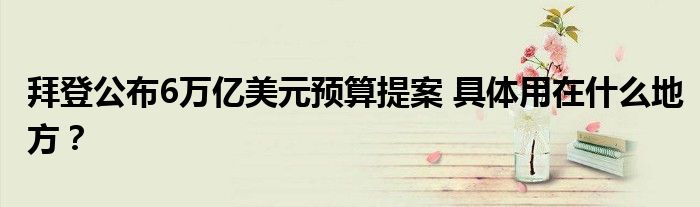 拜登公布6万亿美元预算提案 具体用在什么地方?