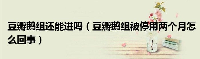 豆瓣鹅组还能进吗(豆瓣鹅组被停用两个月怎么回事)