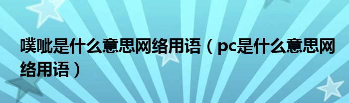 噗呲是什么意思网络用语(pc是什么意思网络用语)