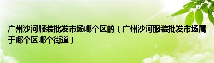 广州沙河服装批发市场哪个区的(广州沙河服装批发市场属于哪个区哪个街道)
