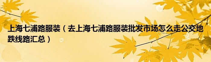 上海七浦路服装(去上海七浦路服装批发市场怎么走公交地跌线路汇总)