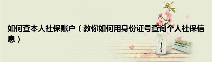 如何查本人社保账户(教你如何用身份证号查询个人社保信息)