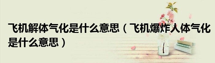 飞机解体气化是什么意思(飞机爆炸人体气化是什么意思)