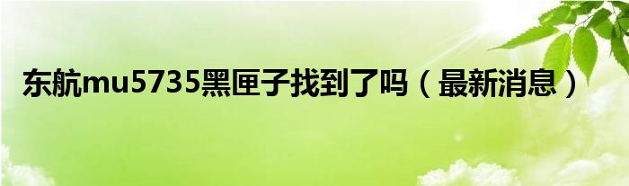 东航mu5735黑匣子找到了吗(最新消息)