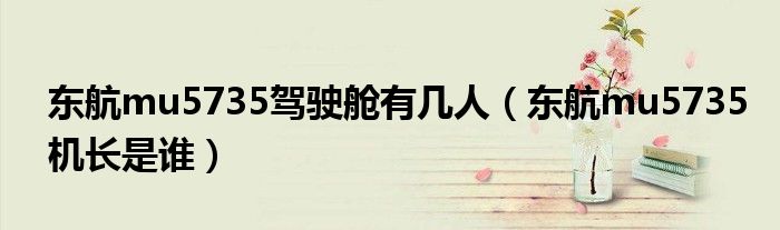 东航mu5735驾驶舱有几人(东航mu5735机长是谁)