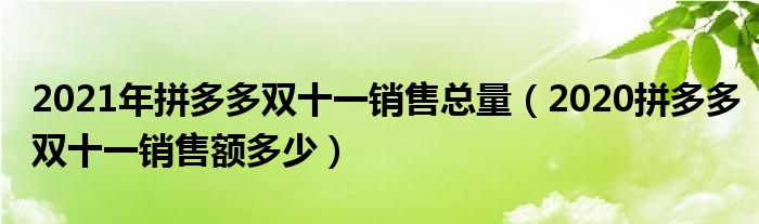 2021年拼多多双十一销售总量(2020拼多多双十一销售额多少)