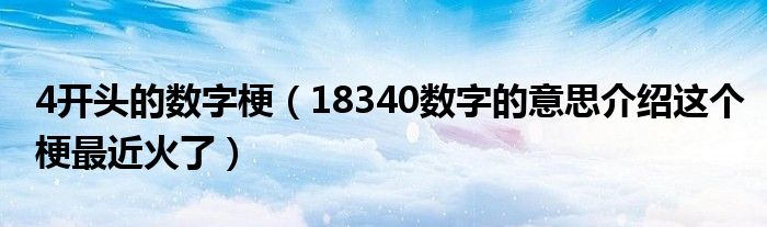 4开头的数字梗(18340数字的意思介绍这个梗最近火了)