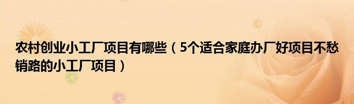 农村创业小工厂项目有哪些(5个适合家庭办厂好项目不愁销路的小工厂项目)