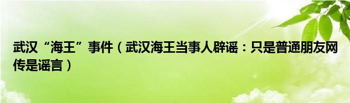 武汉“海王”事件(武汉海王当事人辟谣:只是普通朋友网传是谣言)