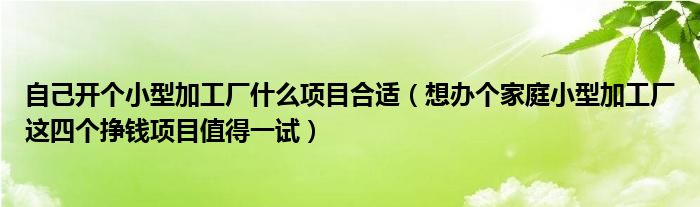 自己开个小型加工厂什么项目合适(想办个家庭小型加工厂这四个挣钱项目值得一试)