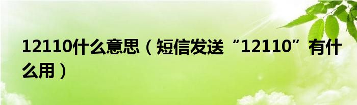 12110什么意思(短信发送“12110”有什么用)