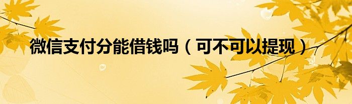 微信支付分能借钱吗(可不可以提现)