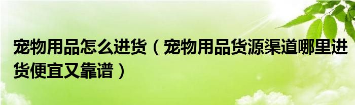 宠物用品怎么进货(宠物用品货源渠道哪里进货便宜又靠谱)