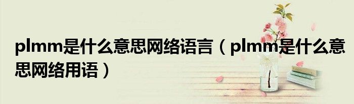 plmm是什么意思网络语言(plmm是什么意思网络用语)