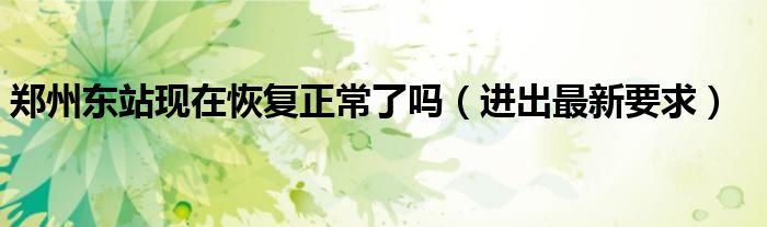 郑州东站现在恢复正常了吗(进出最新要求)