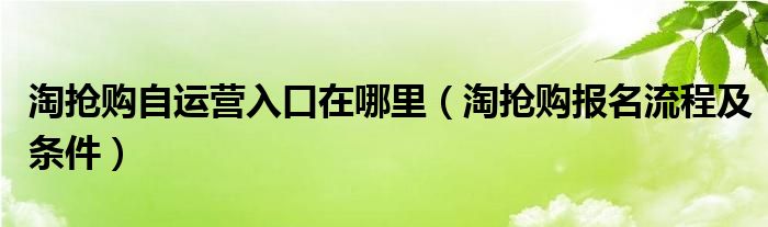 淘抢购自运营入口在哪里(淘抢购报名流程及条件)