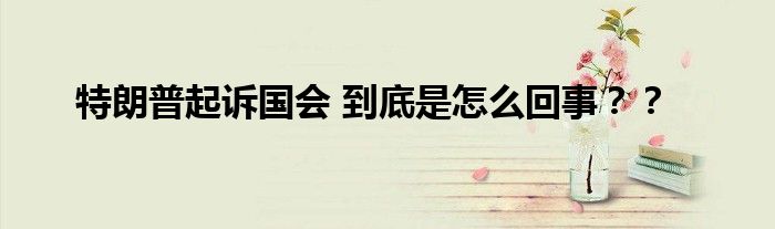 特朗普起诉国会 到底是怎么回事??