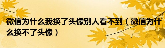 微信为什么我换了头像别人看不到(微信为什么换不了头像)
