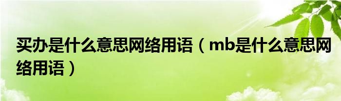 买办是什么意思网络用语(mb是什么意思网络用语)
