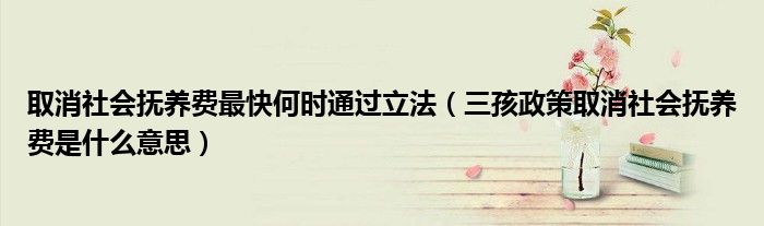 取消社会抚养费最快何时通过立法(三孩政策取消社会抚养费是什么意思)
