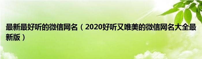 最新最好听的微信网名(2020好听又唯美的微信网名大全最新版)