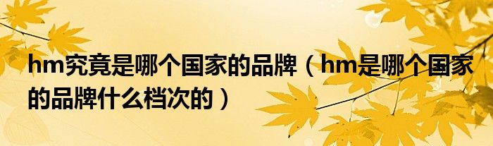 hm究竟是哪个国家的品牌（hm是哪个国家的品牌什么档次的）