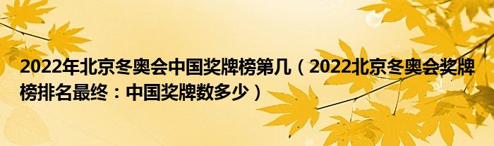 2022年北京冬奥会中国奖牌榜第几(2022北京冬奥会奖牌榜排名最终:中国奖牌数多少)