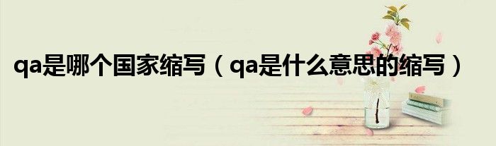 qa是哪个国家缩写(qa是什么意思的缩写)