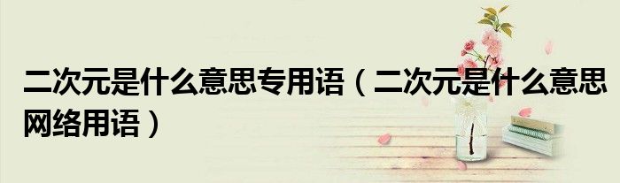 二次元是什么意思专用语(二次元是什么意思网络用语)