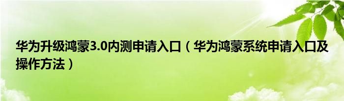 华为升级鸿蒙3.0内测申请入口(华为鸿蒙系统申请入口及操作方法)