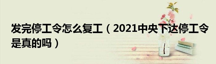 发完停工令怎么复工(2021中央下达停工令是真的吗)