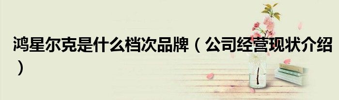鸿星尔克是什么档次品牌(公司经营现状介绍)