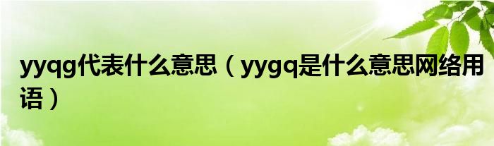 yyqg代表什么意思(yygq是什么意思网络用语)