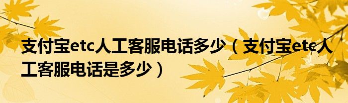 支付宝etc人工客服电话多少(支付宝etc人工客服电话是多少)